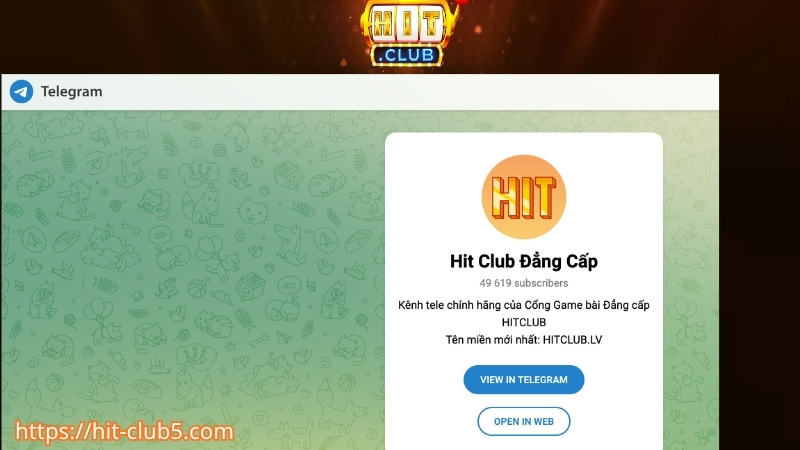 Liên hệ hỗ trợ HITCLUB qua telegram